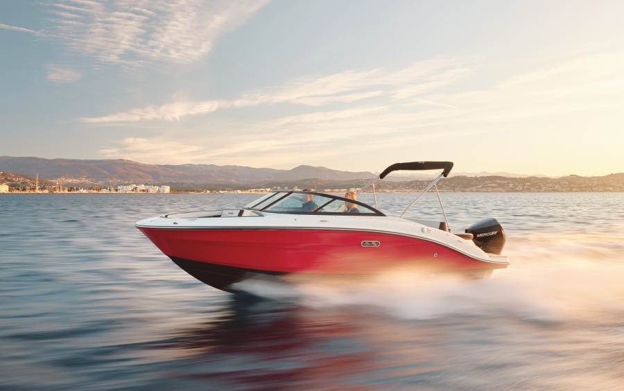 Sea Ray  SPX 210 OB (Outboard) фото 1.1