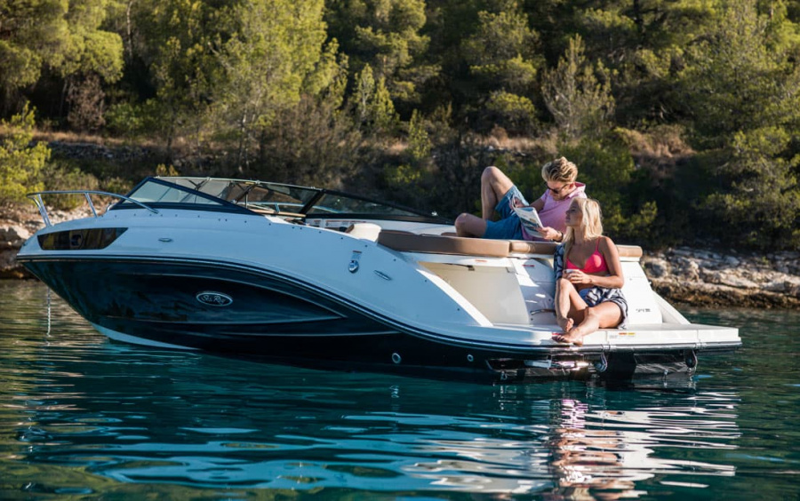 Sea Ray  230 SunSport фото 1.9