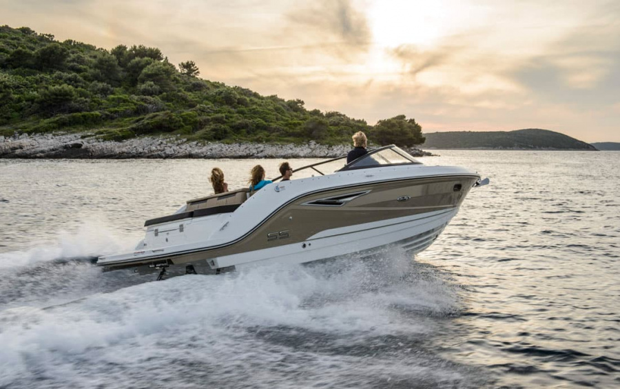 Sea Ray  250 SunSport фото 1.3