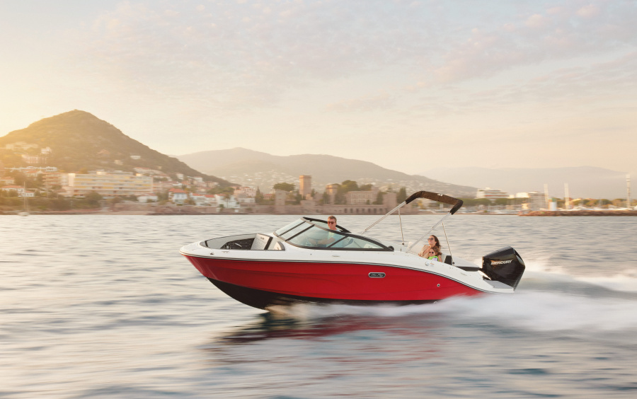 Sea Ray  SPX 210 OB (Outboard) фото 1.8