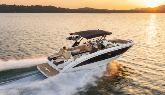 Sea Ray  SDX 290
