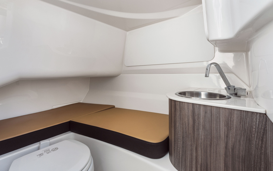 Sea Ray  SDX 250 SURF фото 1.1