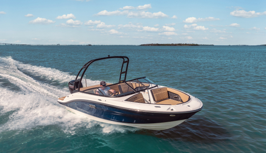 Sea Ray  190 SPX OB (Outboard)