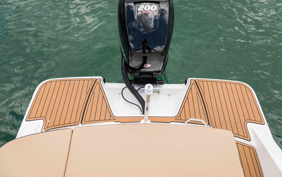 Sea Ray  230 SPX OB фото 1.5