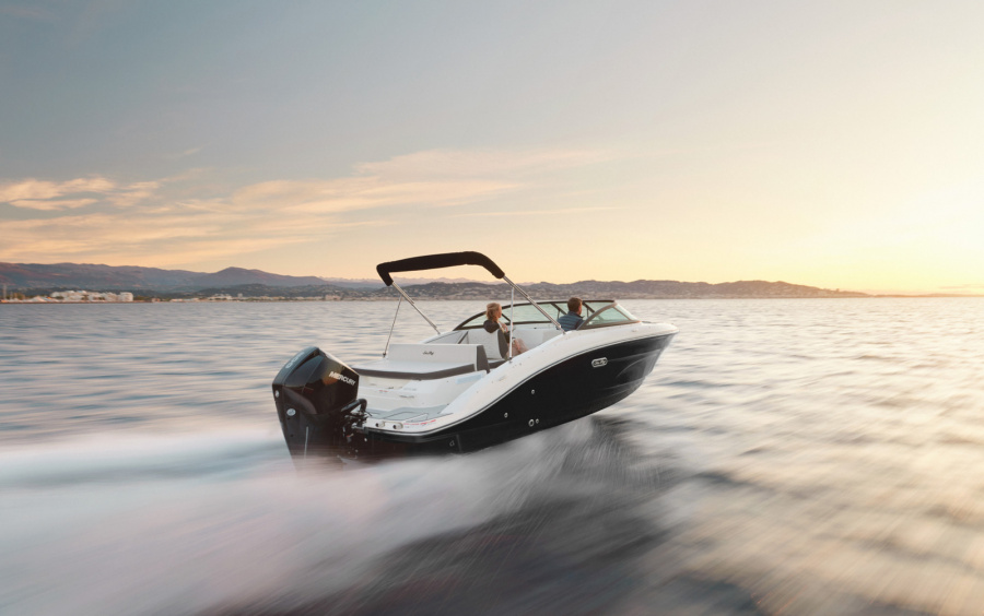 Sea Ray  SPX 210 OB /871(Outboard) фото 1.2