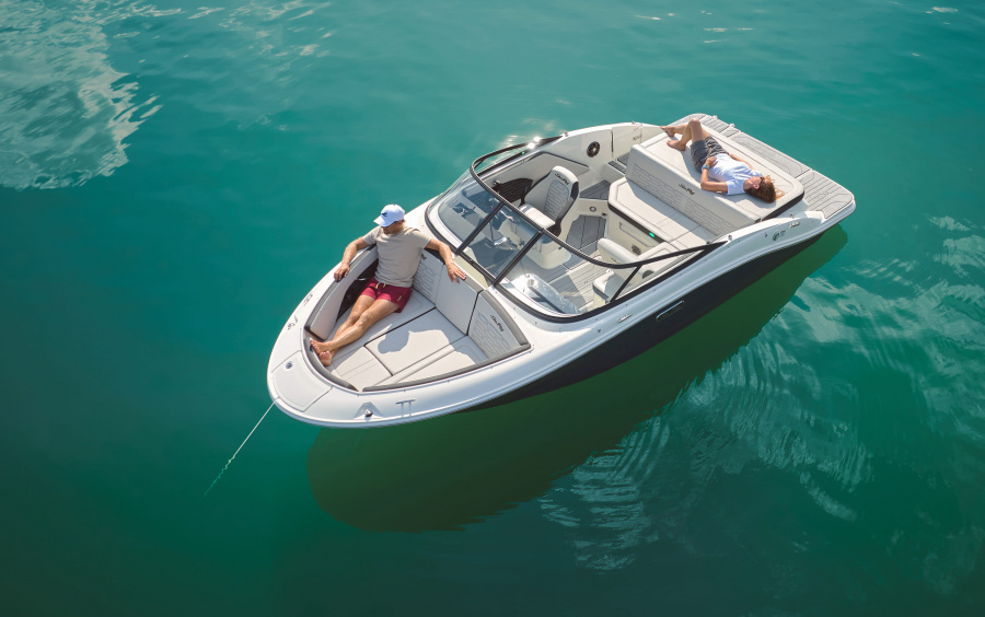 Sea Ray  190 SPX фото 1.10