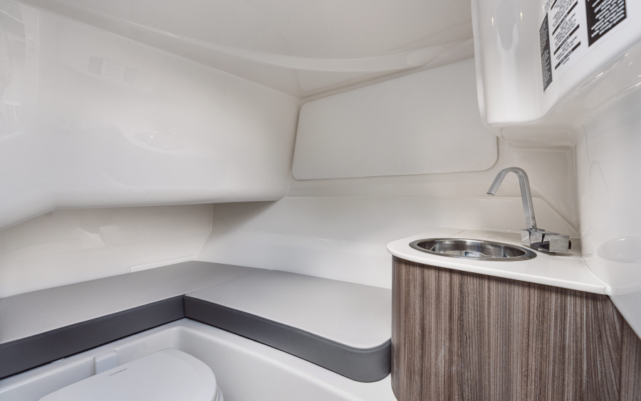 Sea Ray SDX 250 фото 1.3