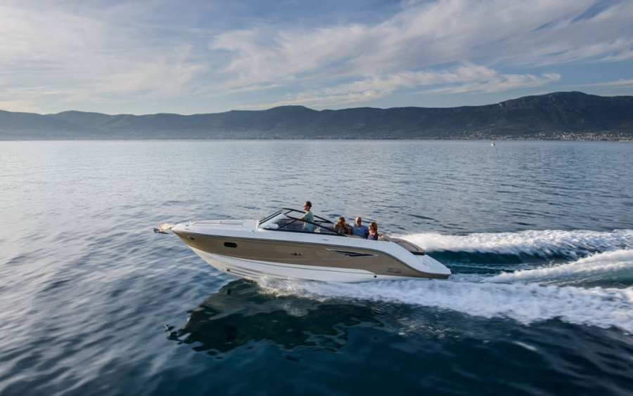 Sea Ray  250 SunSport фото 1.4