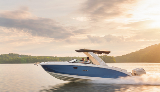 Sea Ray  SDX 290 OB (Outboard)